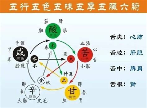 命中缺金怎麼辦|五行缺金是不是代表會缺錢？如何補救